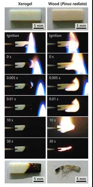 CNF�����z����Ȼľ�ĵĿ�ȼ�Ԝyԇ